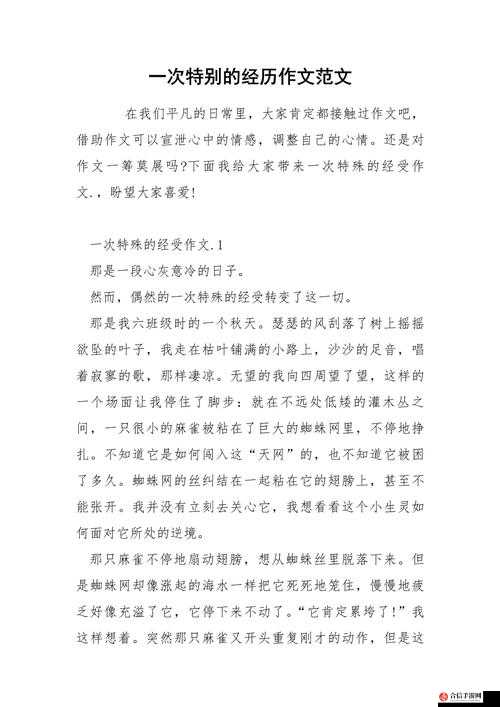 王晴和三个锅炉工的故事：他们在锅炉房的特别经历与情谊